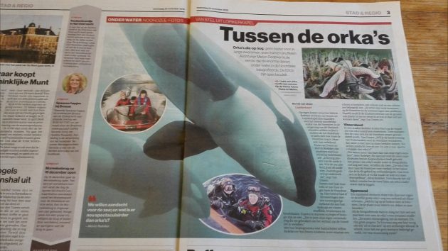 AD Regio Utrecht: Tussen de orka's