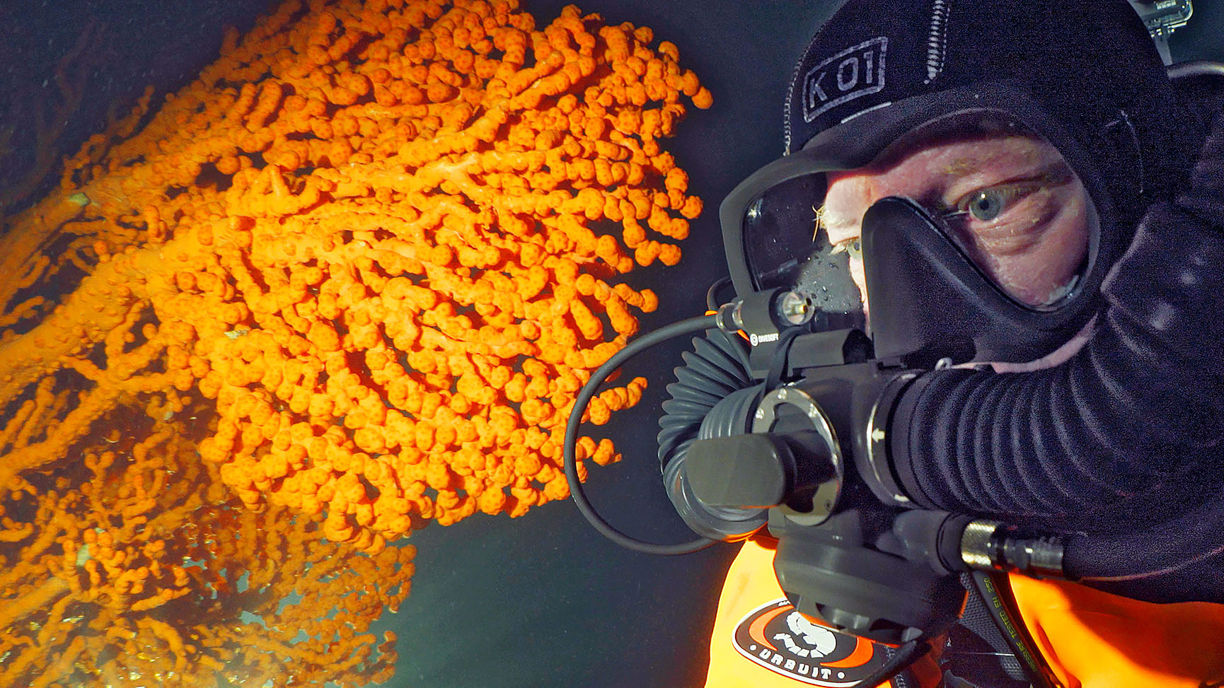 Expeditie koralen Noorwegen Melvin Redeker met Koraalboom paragorgia arborea