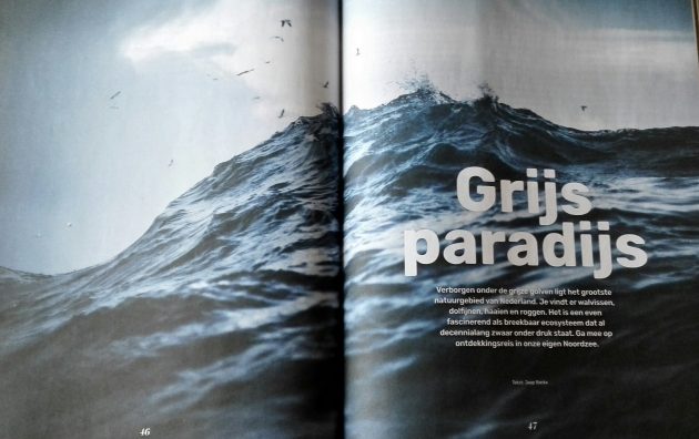 WNF Magazine interview met Melvin: Grijs paradijs